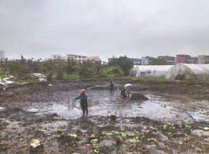 隆尧河道鱼塘清淤